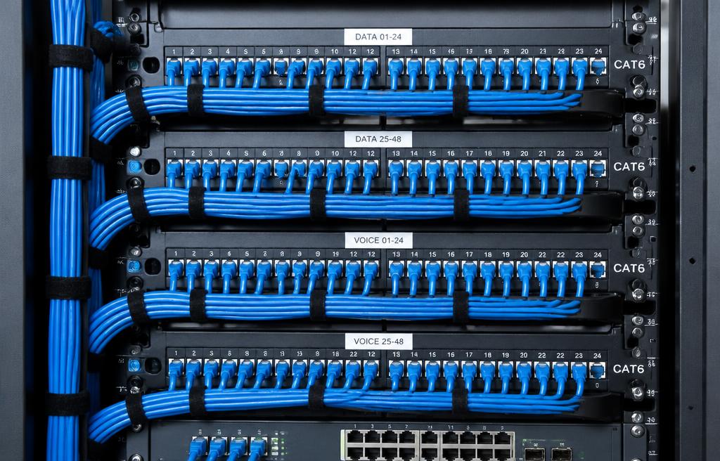 Labelled Cat6 patch panel with tidy blue cable runs